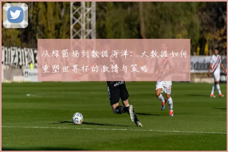 从绿茵场到数据海洋：大数据如何重塑世界杯的激情与策略