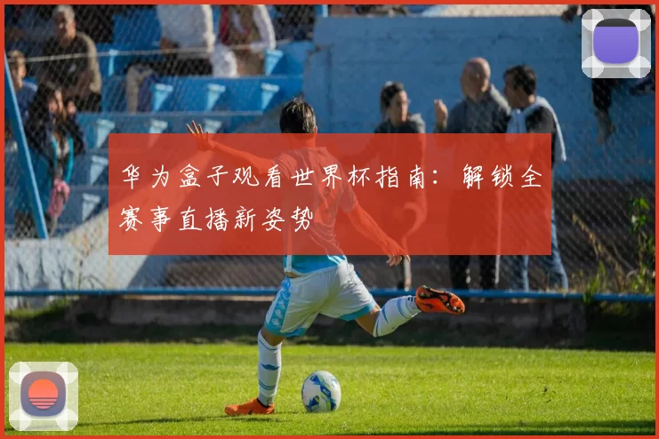 华为盒子观看世界杯指南：解锁全赛事直播新姿势