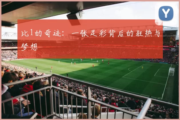 比1的奇迹:一张足彩背后的狂热与梦想
