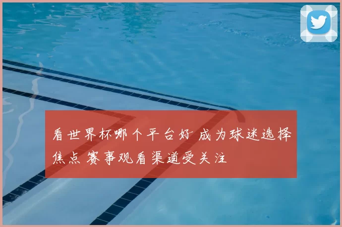 看世界杯哪个平台好 成为球迷选择焦点 赛事观看渠道受关注