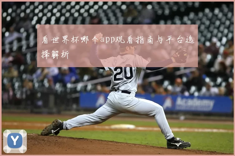 看世界杯哪个app观看指南与平台选择解析