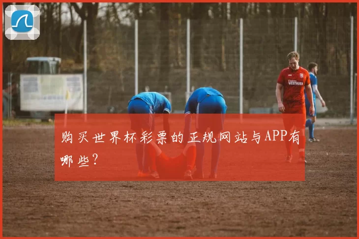 购买世界杯彩票的正规网站与APP有哪些？
