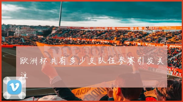 欧洲杯共有多少支队伍参赛引发关注