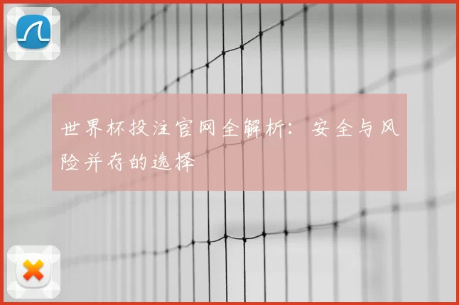 世界杯投注官网全解析:安全与风险并存的选择