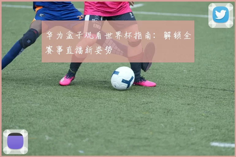 华为盒子观看世界杯指南:解锁全赛事直播新姿势