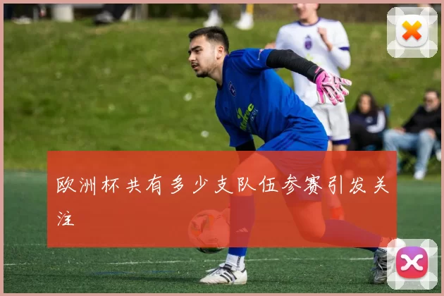 欧洲杯共有多少支队伍参赛引发关注