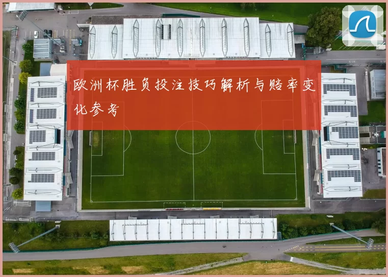 欧洲杯胜负投注技巧解析与赔率变化参考