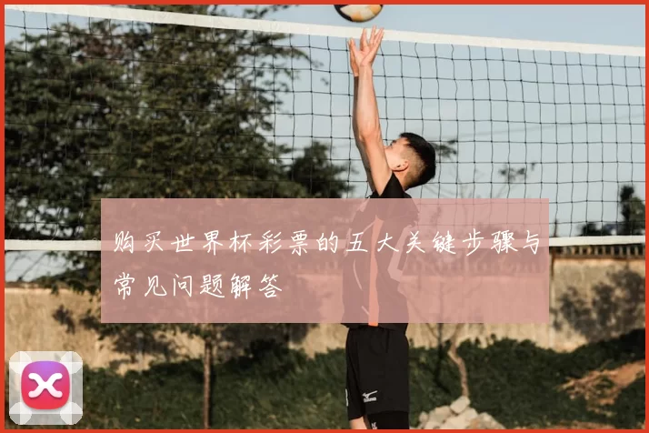 购买世界杯彩票的五大关键步骤与常见问题解答