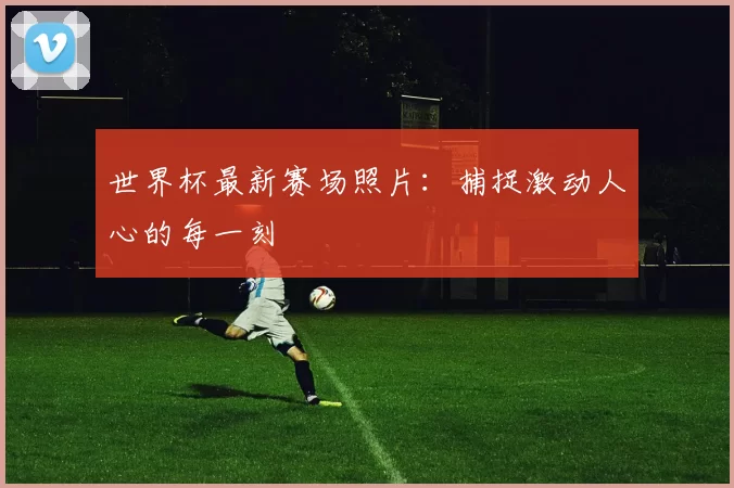 世界杯最新赛场照片：捕捉激动人心的每一刻