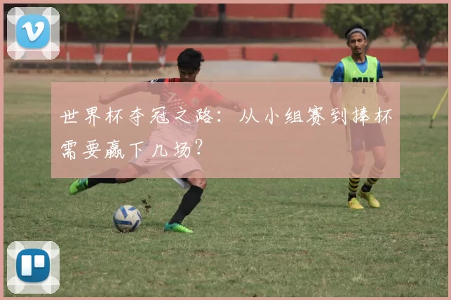 世界杯夺冠之路：从小组赛到捧杯需要赢下几场？