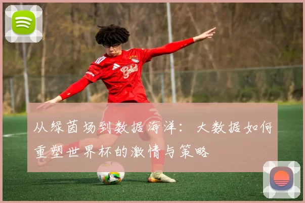 从绿茵场到数据海洋:大数据如何重塑世界杯的激情与策略