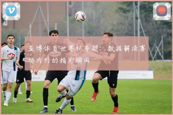 亚博体育世界杯专题:数据解读赛场内外的精彩瞬间