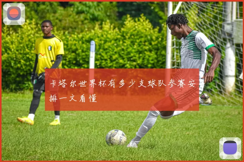 卡塔尔世界杯有多少支球队参赛安排一文看懂