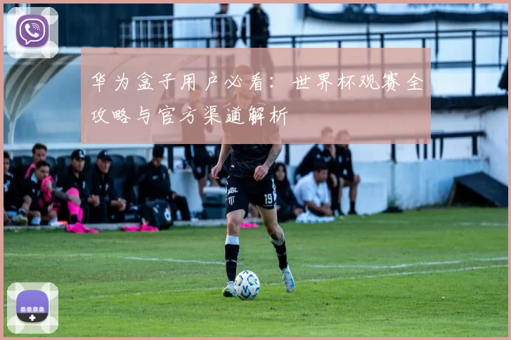 华为盒子用户必看:世界杯观赛全攻略与官方渠道解析