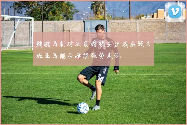 鹈鹕马刺对决前瞻锡安出战成疑文班亚马能否延续强势表现