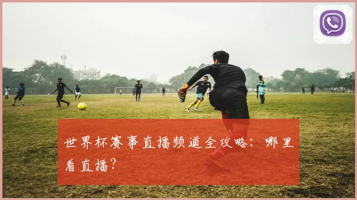 世界杯赛事直播频道全攻略：哪里看直播？