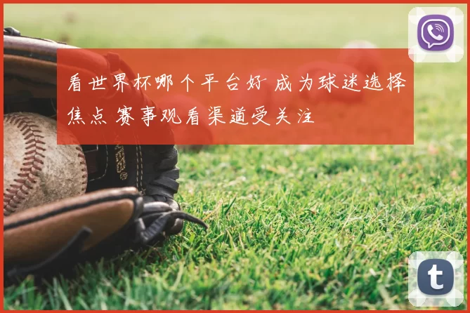 看世界杯哪个平台好 成为球迷选择焦点 赛事观看渠道受关注